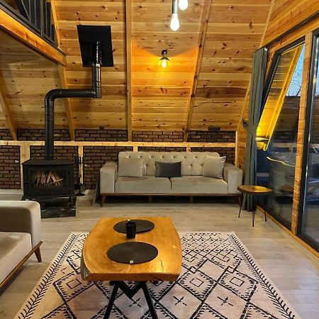 Sapanca Keskin Life Bungalov サカリヤ エクステリア 写真